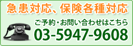 急患対応、保険各種対応　ご予約・お問い合わせはこちら 03-5947-9608